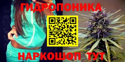 индика Боровичи