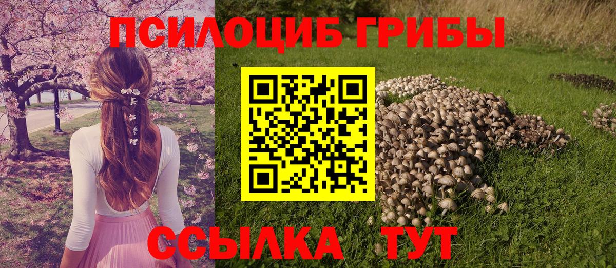 продажа наркотиков  Вход с VPN  Аша  Галлюциногенные грибы прущие грибы 
